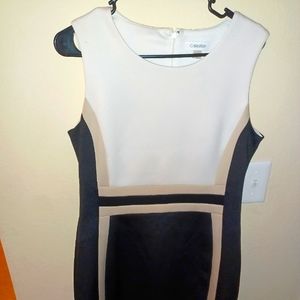 Calvin Klein Stealth Dress Sz 12